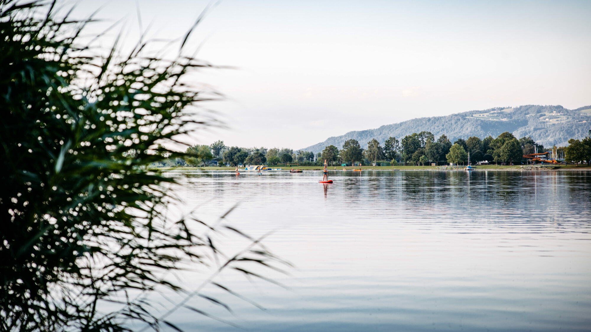 See Hafen Gemeinde Hard Am Bodensee