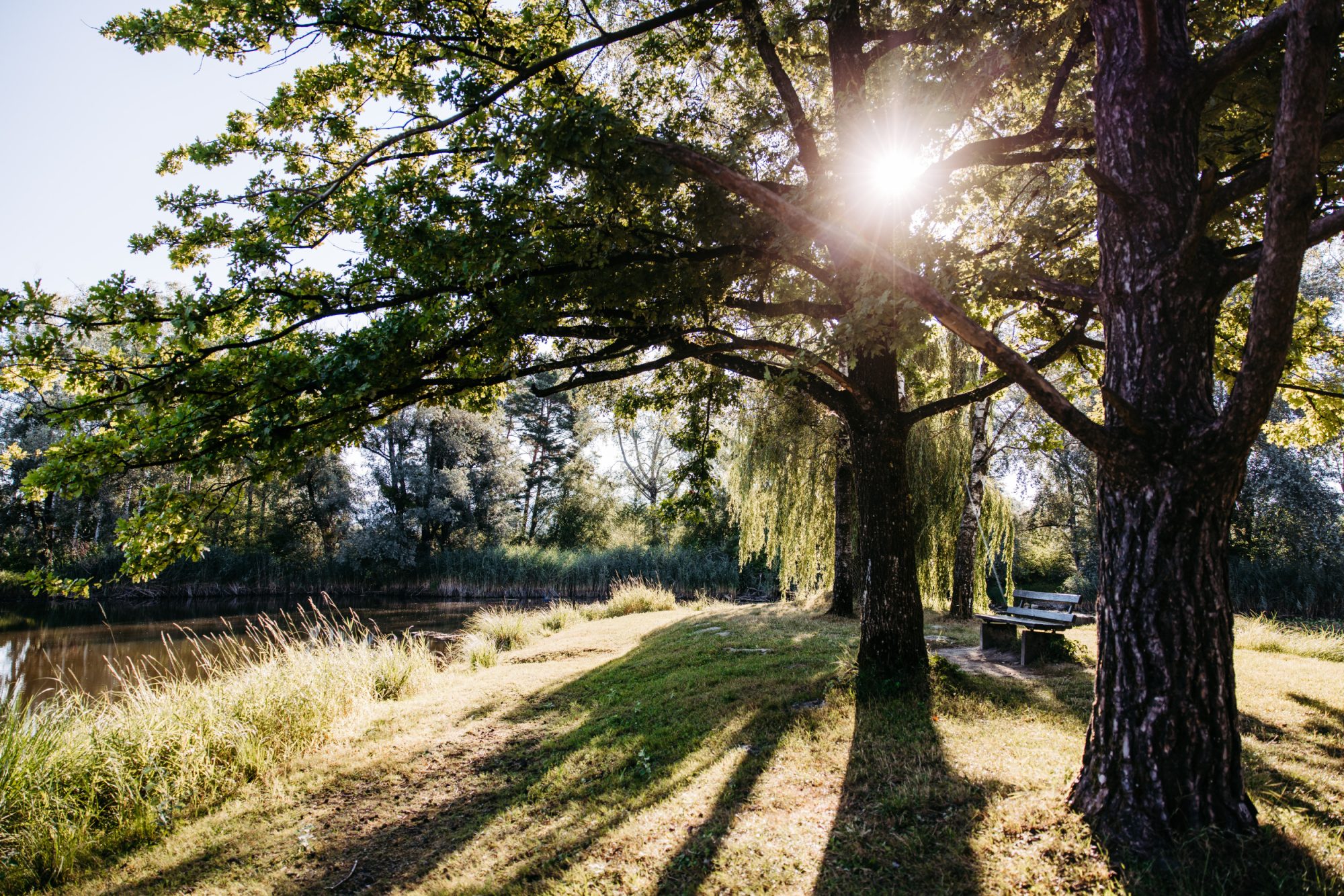 Parkbank bei den Schleienlöchern in Hard am Bodensee