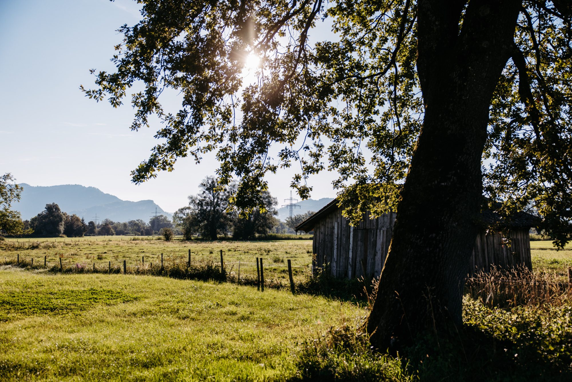 Wiesen und Felder im Naturparadies Harder Ried