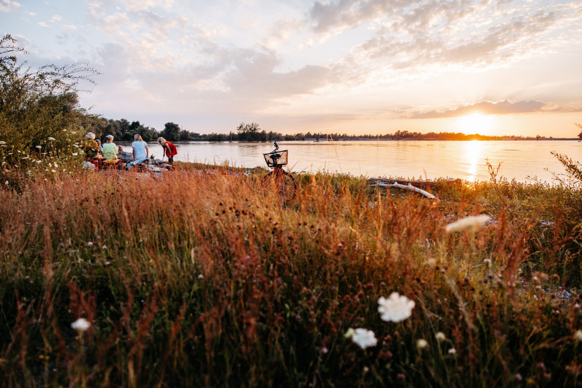 Abendstimmung am Harder Bodenseeufer
